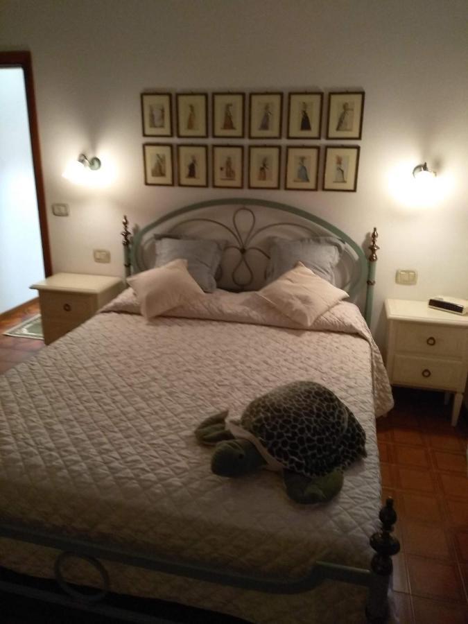 Montepulciano Stazione Casa Di Nonna Cate 아파트 외부 사진